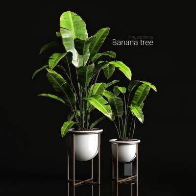 现代绿植盆栽-2